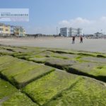 23 Inselhopping Ostfriesland 19.-24.6.2018