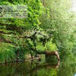 Lauenburgische-Seenplatte-13